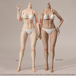 True1Toys Narrow Shoulder Fully Articulated Large Bust Light Wheat Skin Female Jointed Action Figures Body