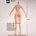 ACTION FIGURE TOYS Seamless Female Platinum Silicone with Stainless Steel Skeleton BG-01–BG-05 Medium/Large/Extra Large Bust, Multiple Skin Tones, Large Hip & Thigh Strap Options 1/6 Scale Action Figure Body