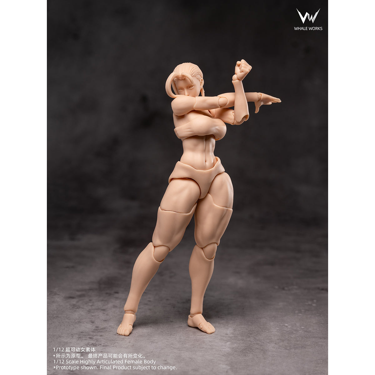 WHALE WORKS Articulated Joints Female WW01-A ARIA Large Bust WW02-A RIN Large Bust 1/12 Scale Action Figure Body