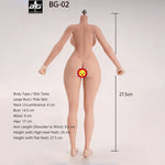 ACTION FIGURE TOYS Seamless Female Platinum Silicone with Stainless Steel Skeleton BG-01–BG-05 Medium/Large/Extra Large Bust, Multiple Skin Tones, Large Hip & Thigh Strap Options 1/6 Scale Action Figure Body