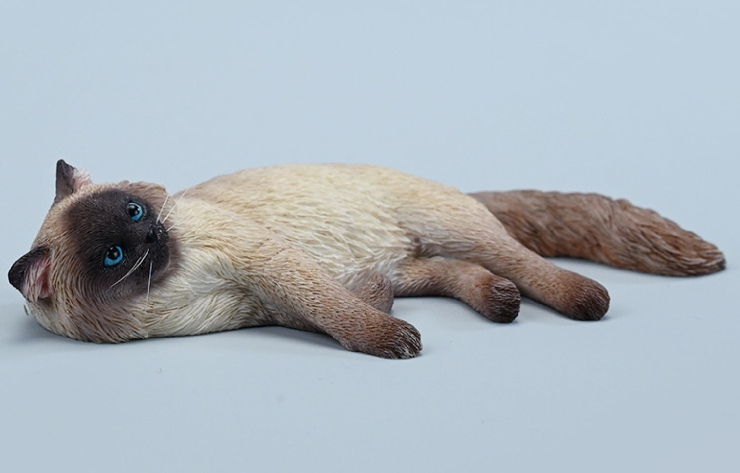 JXK Collectible Cat Figure: Ragdoll 3.0, 1:6 Scale Miniature Animal Fi