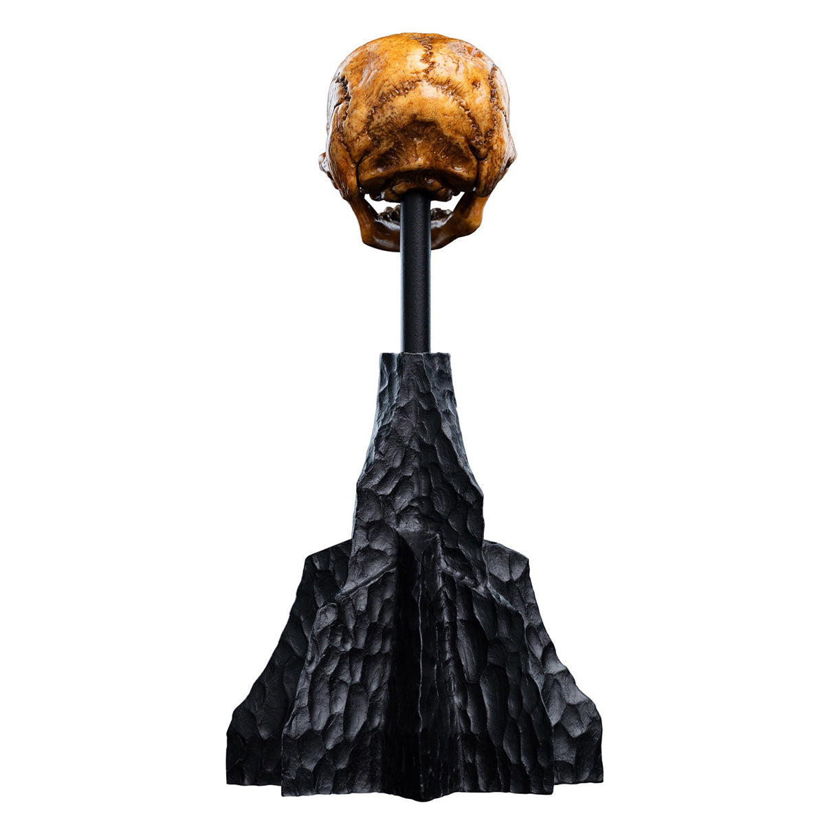 WETA Workshop The Hobbit Trilogy Skull Miniature Skull of a Misty Mountain Goblin Art Figurine