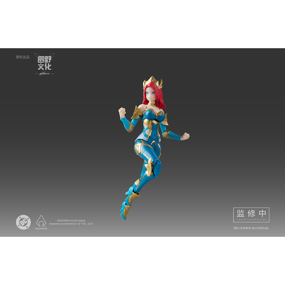 MS GENERAL DC Series DC-04 MERA 1/10 Scale Assembly Model Kits