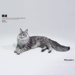 LIEJI, Silver Tiger Maine Coon, Static Expertly Hand-Painted Lifelike, 1/6 Scale Animal Figurine