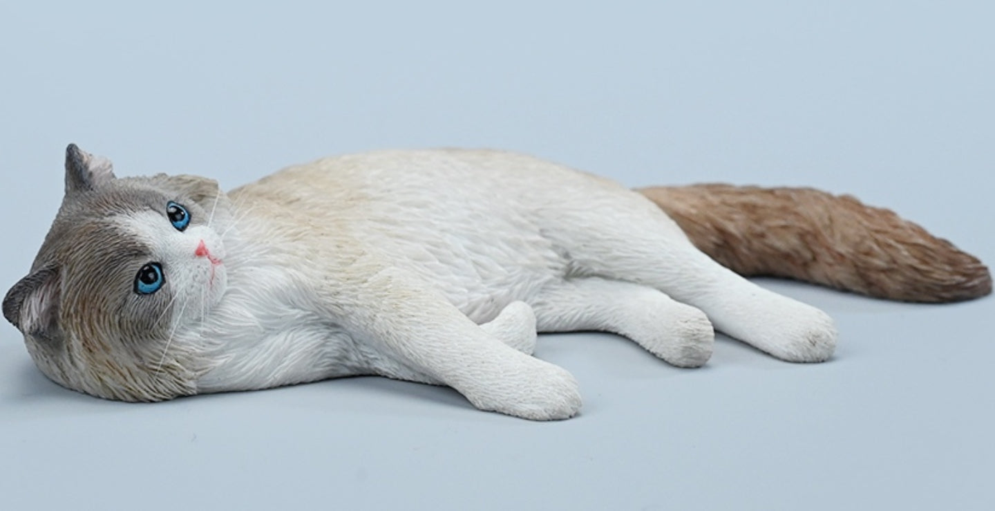 JXK Collectible Cat Figure: Ragdoll 3.0, 1:6 Scale Miniature Animal Fi