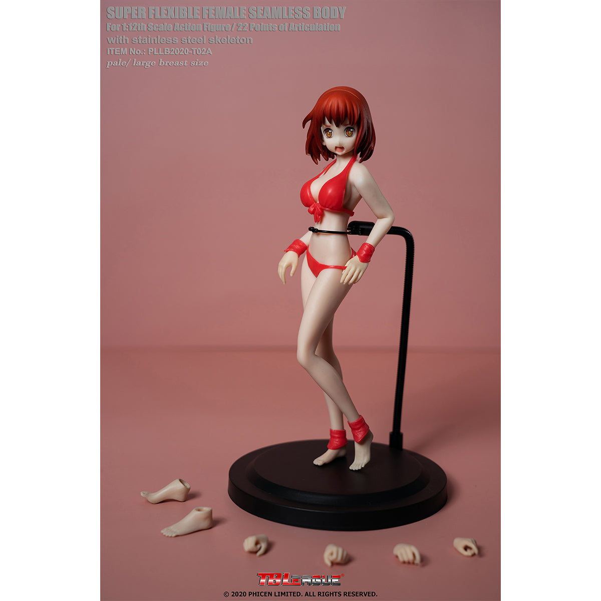 TBLeague, Seamless Steel Skeleton Female Eropean & Proportions/Anime/Asian Body Type with Head Sculpt, Action Figures Body