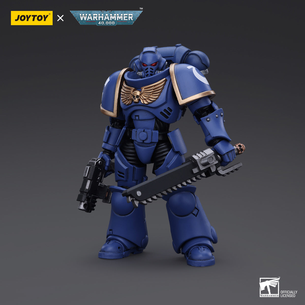 JOYTOY Space Marines Ultramarines Outriders Brother Catonus Black Templars Outriders Brother Valtus 1/18 Scale Action Figure