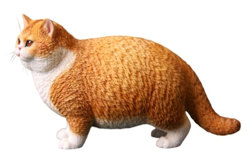 HiPlay JXK Collectible Cat Figure: British Shorthair Cat, Expertly Hand-Painted, Lifelike, Safe Resin, 1:6 Scale Miniature Animal Figurine