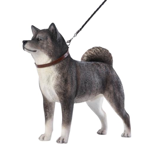 HiPlay JXK Collectible Dog Figure: Japanese Akita, Expertly Hand-Painted, Lifelike, Safe Resin, 1:6 Scale Miniature Animal Figurine