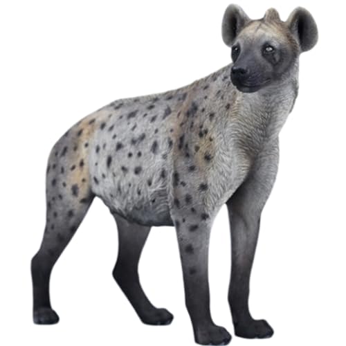 HiPlay JXK Collectible Cat Figure: Hyena, Expertly Hand-Painted, Lifelike, Safe Resin, 1:6 Scale Miniature Animal Figurine