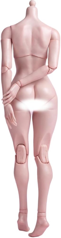 (Only Shipped to the DE) WorldBox 1:6 Scale Female Action Figure Body AT202 Plump Body Shape Fale Skin