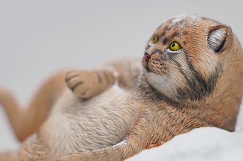 HiPlay JXK Collectible Cat Figure: Otocolobus Manul, Expertly Hand-Painted, Lifelike, Safe Resin, 1:6 Scale Miniature Animal Figurine