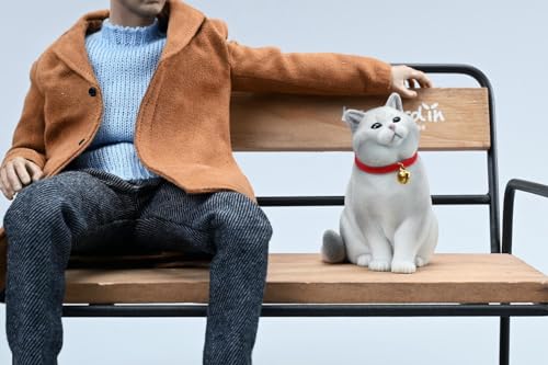 HiPlay JXK Collectible Cat Figure: British Shorthair, 1:6 Scale Miniature Animal Figurine