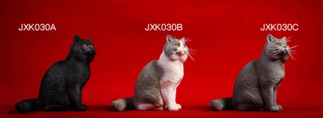 HiPlay JXK Collectible Cat Figure: Shorthair Cat, Expertly Hand-Painted, Lifelike, Safe Resin, 1:6 Scale Miniature Animal Figurine