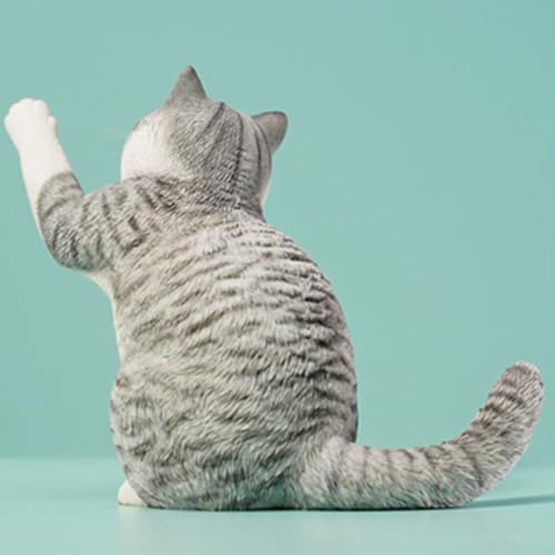 HiPlay JXK Collectible Cat Figure: British Shorthair Cat 2.0, Expertly Hand-Painted, Lifelike, Safe Resin, 1:6 Scale Miniature Animal Figurine