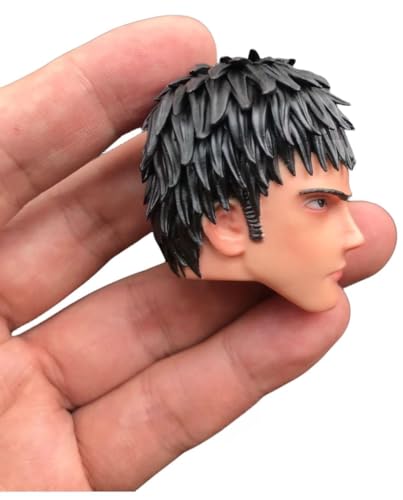 HiPlay 1:6 Scale Male Head Sculpt, Anime Style Design Head Sculpture for 12-inch Action Figures H001