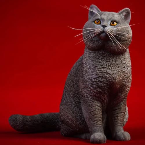 HiPlay JXK Collectible Cat Figure: Shorthair Cat, Expertly Hand-Painted, Lifelike, Safe Resin, 1:6 Scale Miniature Animal Figurine