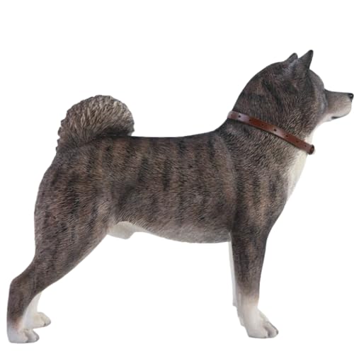 HiPlay JXK Collectible Dog Figure: Japanese Akita, Expertly Hand-Painted, Lifelike, Safe Resin, 1:6 Scale Miniature Animal Figurine