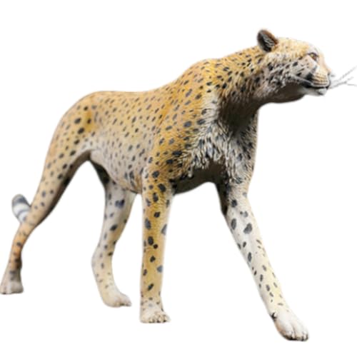 HiPlay JXK Collectible Leopard Figure: Acinonyx Jubatus, Expertly Hand-Painted, Lifelike, Safe Resin, 1:6 Scale Miniature Animal Figurine JXK115