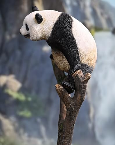 HiPlay JXK Collectible Panda Figure: Meng LAN, Expertly Hand-Painted, Lifelike, Safe Resin, 1:6 Scale Miniature Animal Figurine JXK205