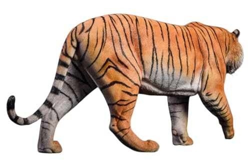 HiPlay JXK Collectible Tiger Figure: Bengal Tiger, Expertly Hand-Painted, Lifelike, Safe Resin, 1:6 Scale Miniature Animal Figurine