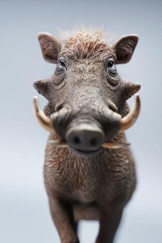 HiPlay JXK Collectible Pig Figure: Warthog, Expertly Hand-Painted, Lifelike, Safe Resin, 1:6 Scale Miniature Animal Figurine