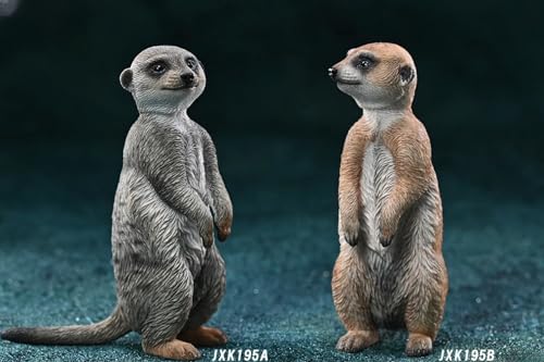 HiPlay JXK Collectible Meerkat Figure: Meerkat, Expertly Hand-Painted, Lifelike, Safe Resin, 1:6 Scale Miniature Animal Figurine