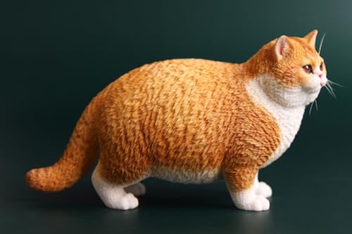 HiPlay JXK Collectible Cat Figure: British Shorthair Cat, Expertly Hand-Painted, Lifelike, Safe Resin, 1:6 Scale Miniature Animal Figurine