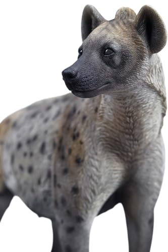 HiPlay JXK Collectible Cat Figure: Hyena, Expertly Hand-Painted, Lifelike, Safe Resin, 1:6 Scale Miniature Animal Figurine