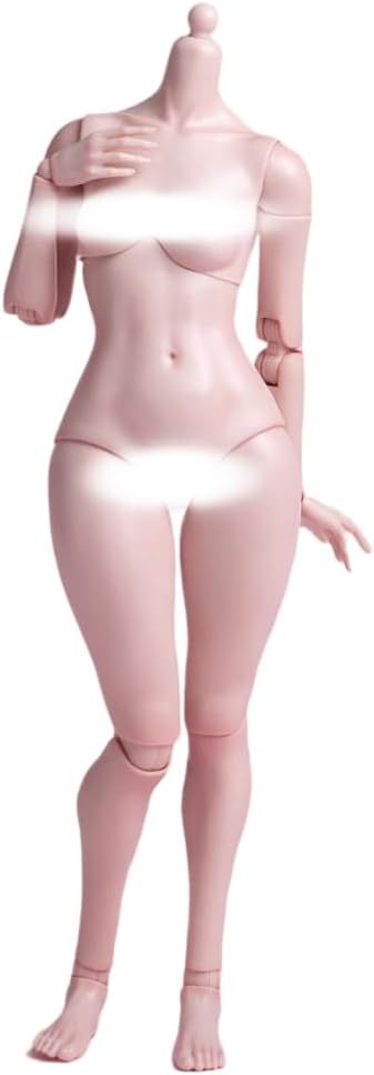(Only Shipped to the DE) WorldBox 1:6 Scale Female Action Figure Body AT202 Plump Body Shape Fale Skin