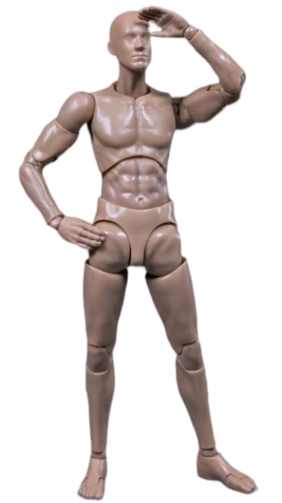 HiPlay 1:12 Scale Male Action Figure Body - Flexible and Multi-Articular Mobility DPS01