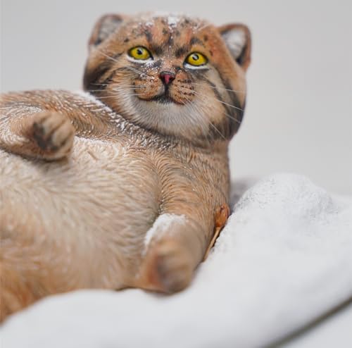 HiPlay JXK Collectible Cat Figure: Otocolobus Manul, Expertly Hand-Painted, Lifelike, Safe Resin, 1:6 Scale Miniature Animal Figurine