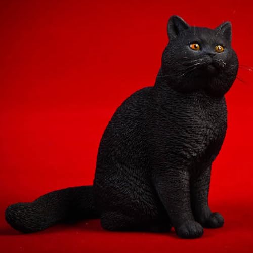 HiPlay JXK Collectible Cat Figure: Shorthair Cat, Expertly Hand-Painted, Lifelike, Safe Resin, 1:6 Scale Miniature Animal Figurine