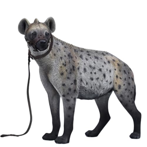 HiPlay JXK Collectible Cat Figure: Hyena, Expertly Hand-Painted, Lifelike, Safe Resin, 1:6 Scale Miniature Animal Figurine