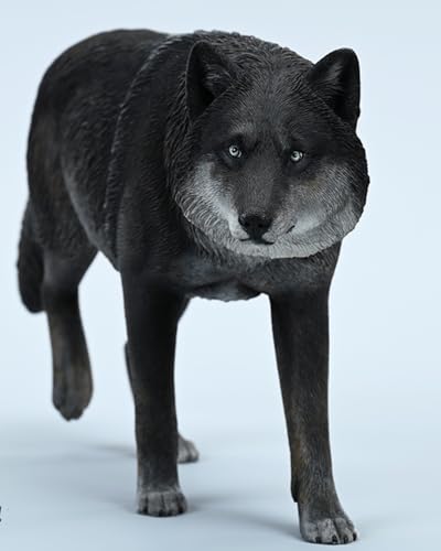 HiPlay JXK Collectible Wolf Figure: Common Gray Wolf, Expertly Hand-Painted, Lifelike, Safe Resin, 1:6 Scale Miniature Animal Figurine JXK223A1