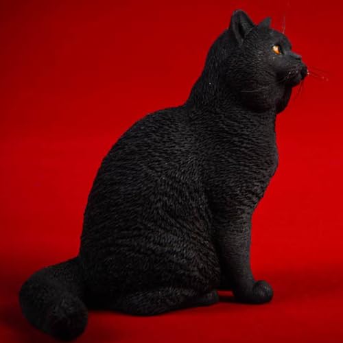 HiPlay JXK Collectible Cat Figure: Shorthair Cat, Expertly Hand-Painted, Lifelike, Safe Resin, 1:6 Scale Miniature Animal Figurine