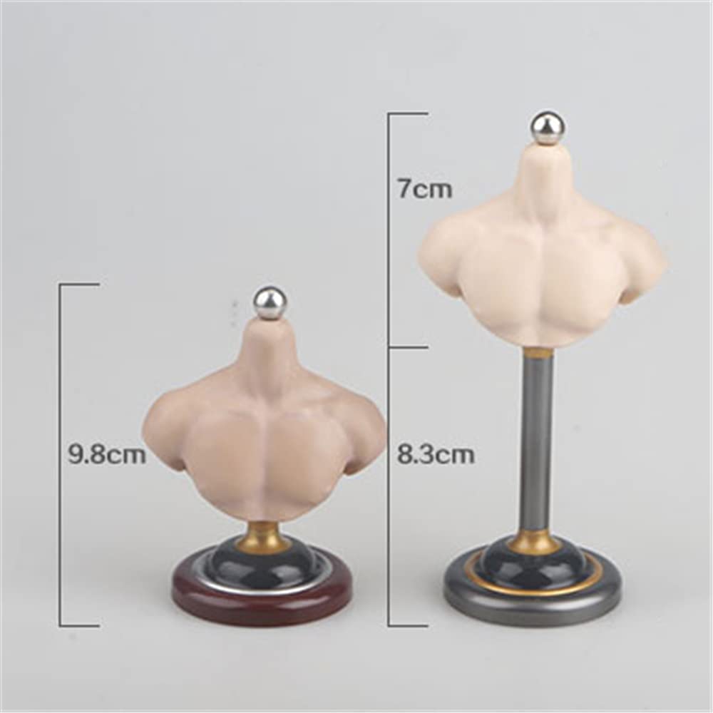 1/6 Scale Figure Body Shape: The Bust Female Phicen/TBLeague ACC067