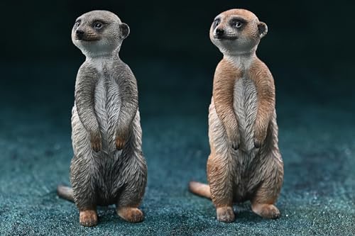 HiPlay JXK Collectible Meerkat Figure: Meerkat, Expertly Hand-Painted, Lifelike, Safe Resin, 1:6 Scale Miniature Animal Figurine