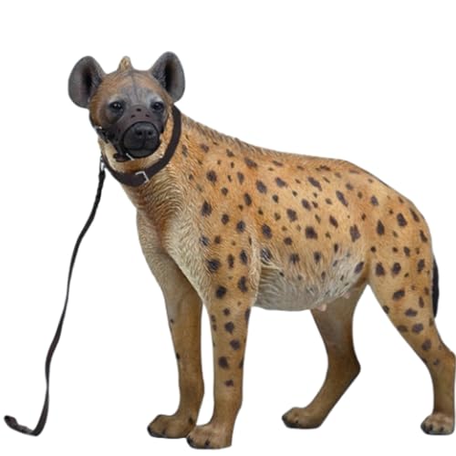 HiPlay JXK Collectible Cat Figure: Hyena, Expertly Hand-Painted, Lifelike, Safe Resin, 1:6 Scale Miniature Animal Figurine