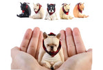 Figurine de collection JXK : bouledogue français, peinte à la main avec soin, réaliste, en résine, miniature à l'échelle 1:6, JXK045A