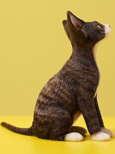 HiPlay JXK Collectible Cat Figure: Deon Rex, 1:6 Scale Miniature Animal Figurine