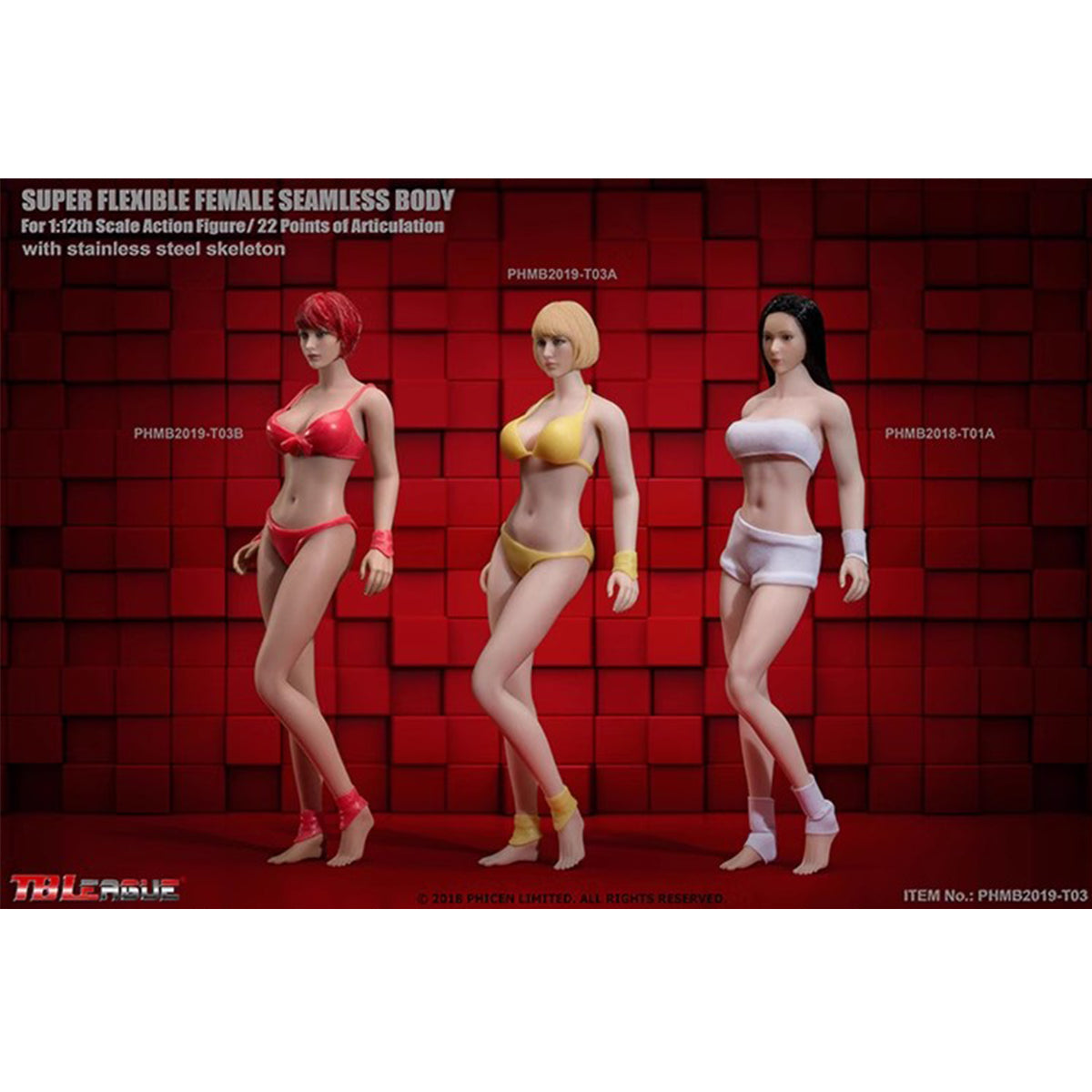 TBLeague, Seamless Steel Skeleton Female Eropean & Proportions/Anime/Asian Body Type with Head Sculpt, Action Figures Body