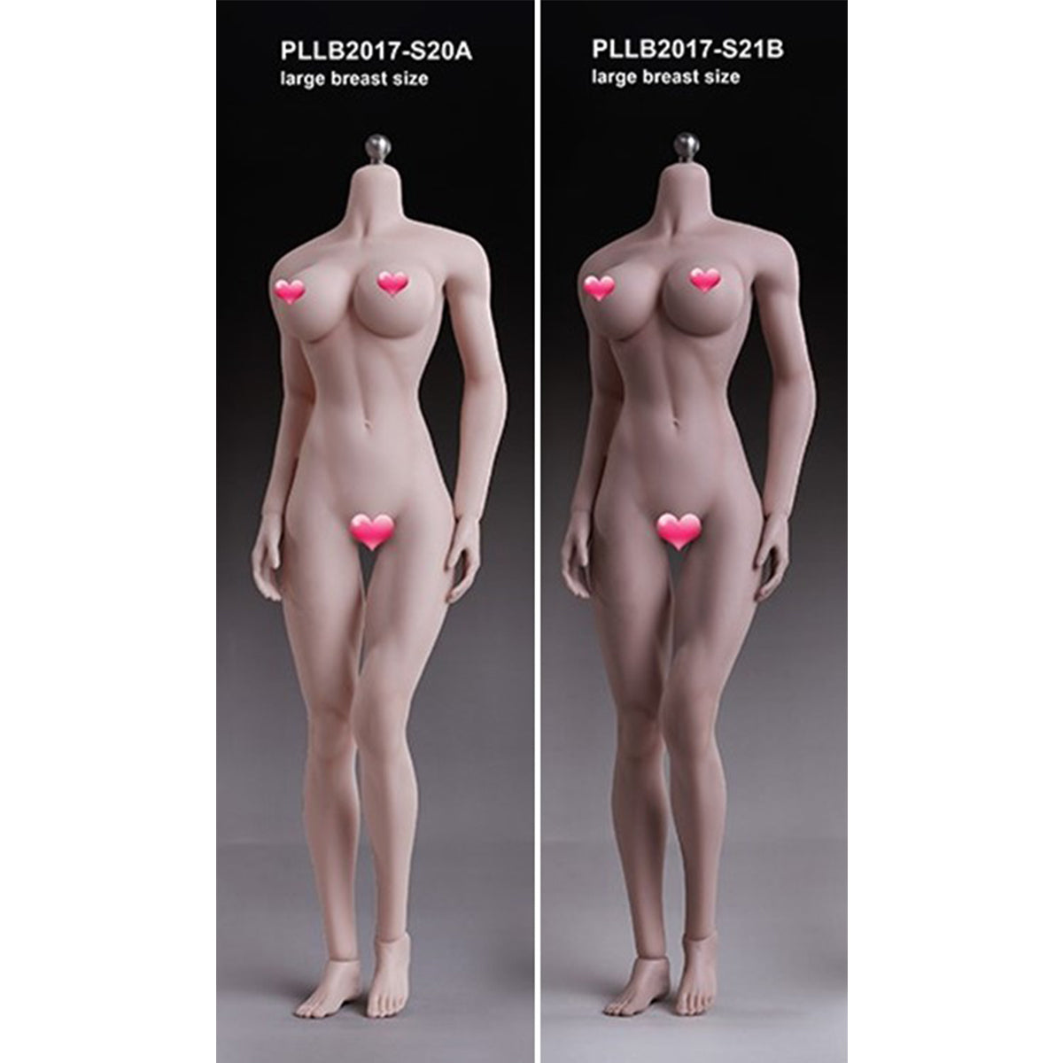 TBLeague Female Seamless Medium/Large Bust More/Medium Muscular Type Headless Detachable Feet 1/6 Scale Action Figure Body