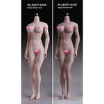 TBLeague Female Seamless Medium/Large Bust More/Medium Muscular Type Headless Detachable Feet 1/6 Scale Action Figure Body
