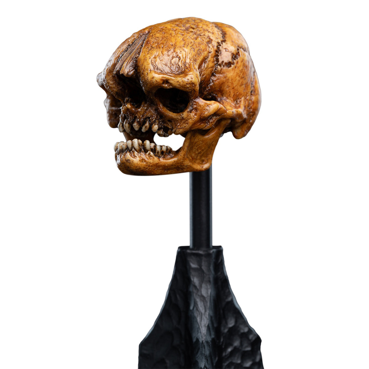WETA Workshop The Hobbit Trilogy Skull Miniature Skull of a Misty Mountain Goblin Art Figurine