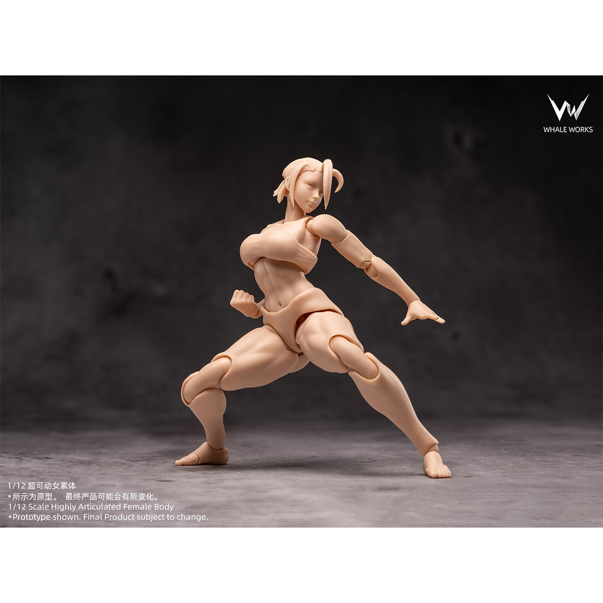 WHALE WORKS Articulated Joints Female WW01-A ARIA Large Bust WW02-A RIN Large Bust 1/12 Scale Action Figure Body