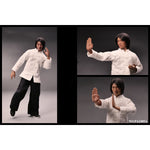 PEAKART STUDIO 12-Inch Kung Fu Action Figure Customized Edition Silicone Movable Series