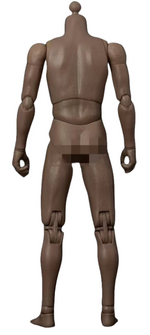 (Only Shipped to the DE) Worldbox Super Durable Narrow Shoulder Male Body Figure No Head AT011