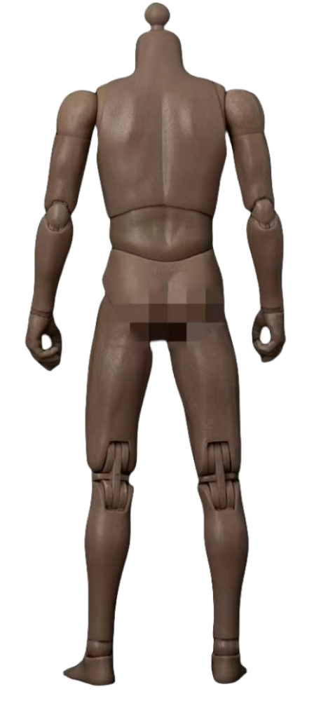 (Only Shipped to the DE) Worldbox Super Durable Narrow Shoulder Male Body Figure No Head AT011