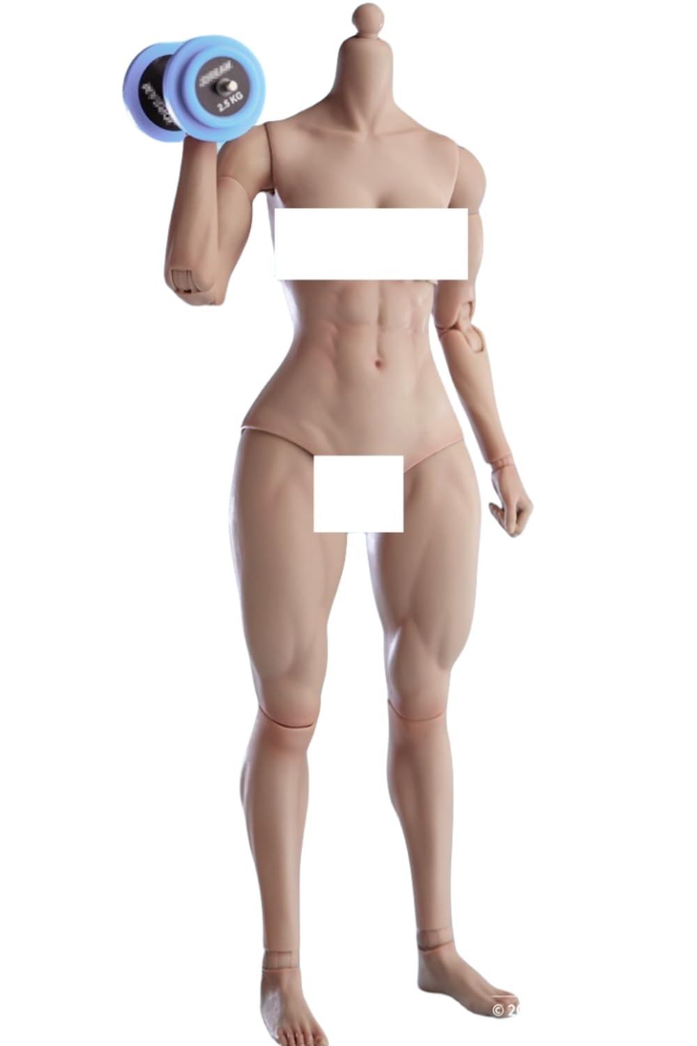 HiPlay Worldbox 1:6 Scale Female Action Figure Body -Muscle Shape, Medium Bust, Wheat Skin